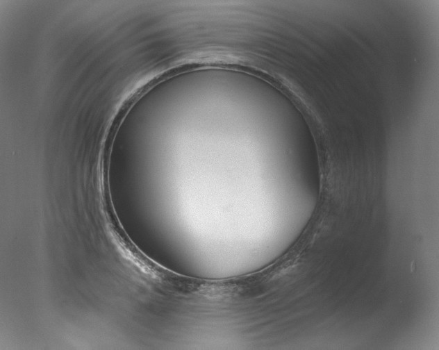 X0000077370840200610201346