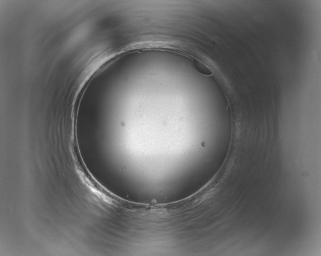 X0000077370844200610201346