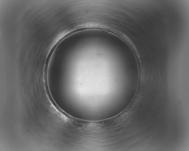 X0000077370847200610201347