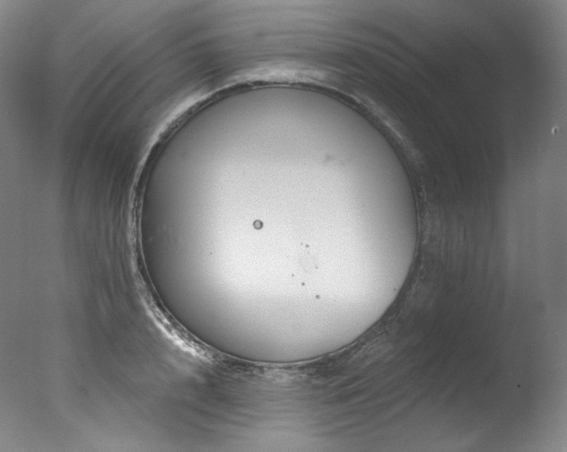 X0000077370848200610201347