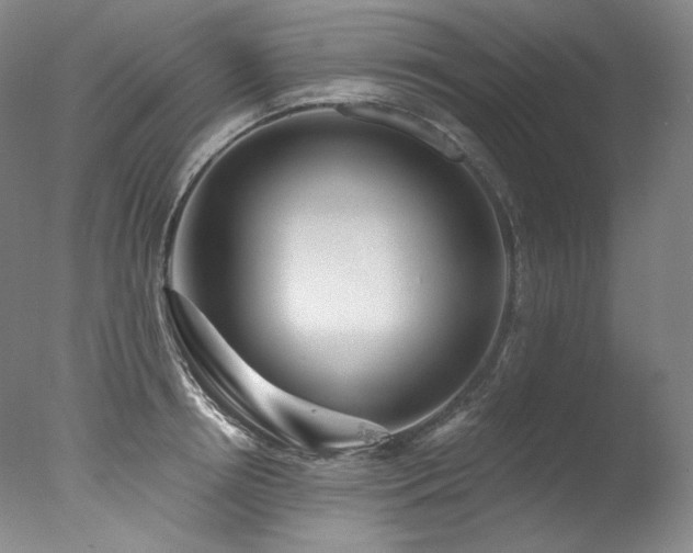 X0000077370850200610201347