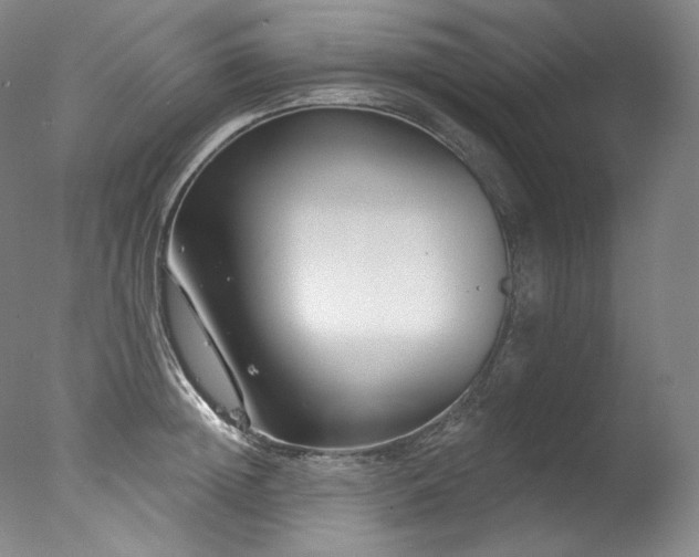 X0000077370852200610201347