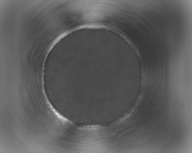 X0000077370853200610201347