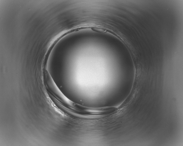 X0000077370854200610201347