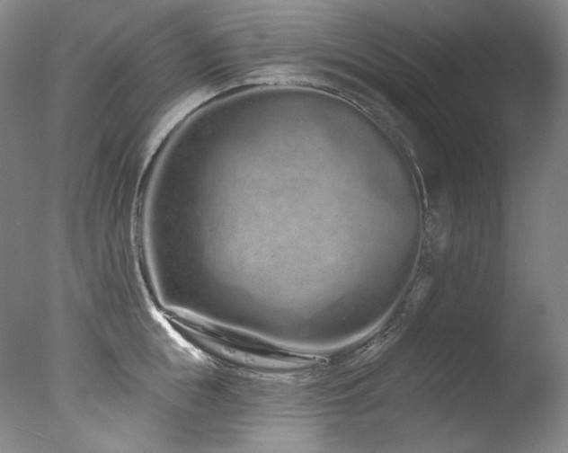 X0000077370855200610201347