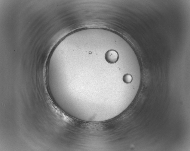 X0000077370856200610201347