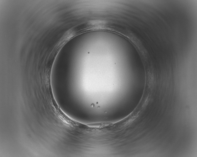 X0000077370857200610201347