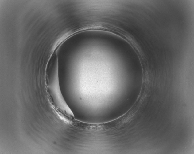 X0000077370858200610201347