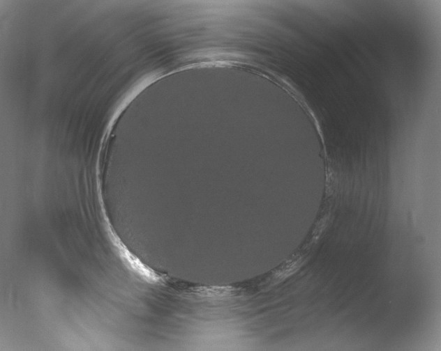 X0000077370859200610201347