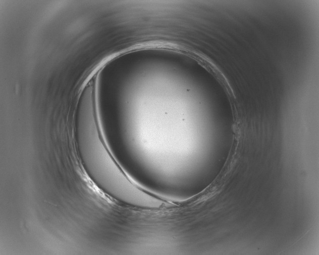 X0000077370860200610201347