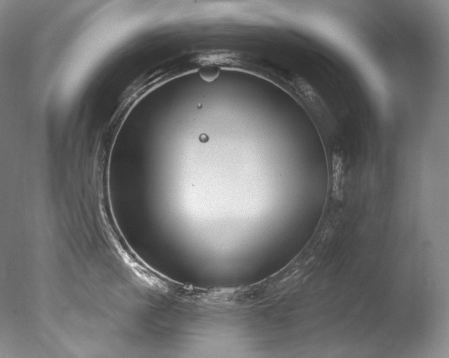 X0000077370861200610201347