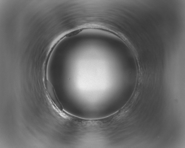 X0000077370862200610201347