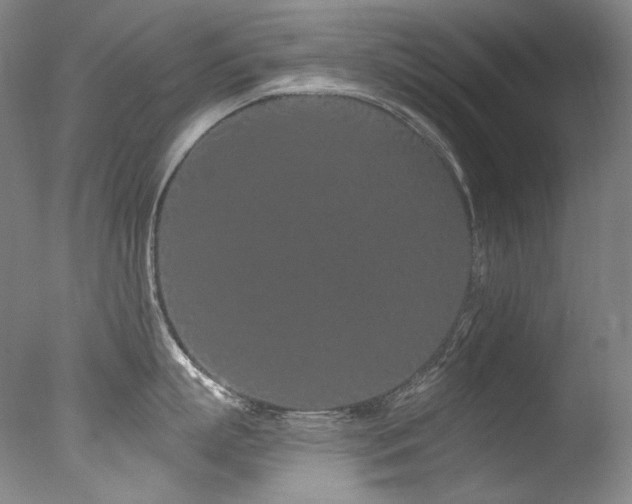 X0000077370863200610201347