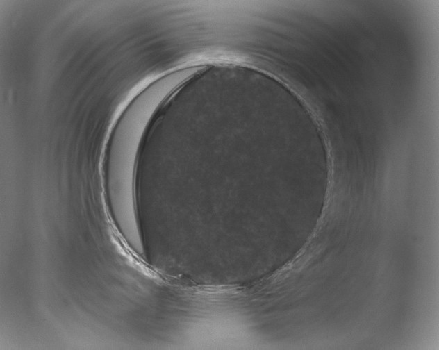 X0000077370864200610201347