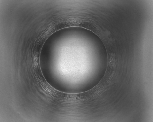 X0000077370866200610201346