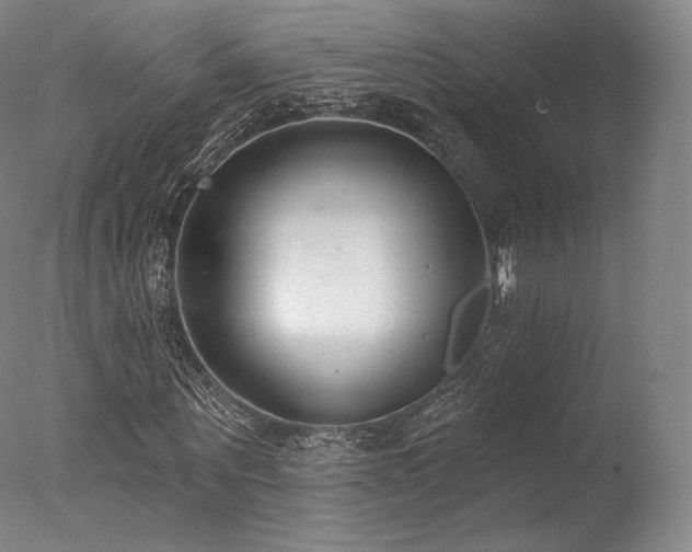 X0000077370867200610201346