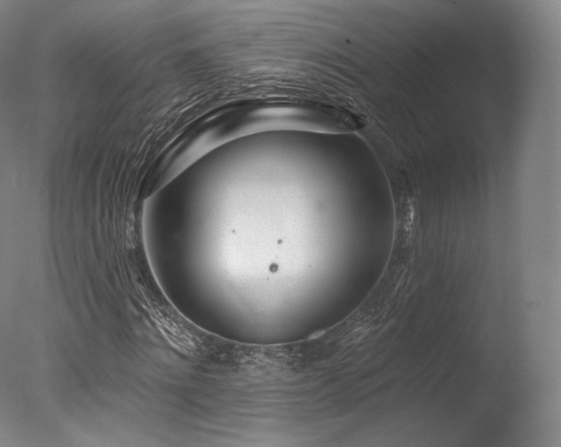 X0000077370868200610201346