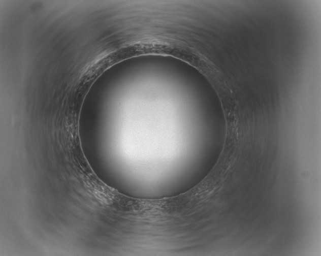 X0000077370870200610201346