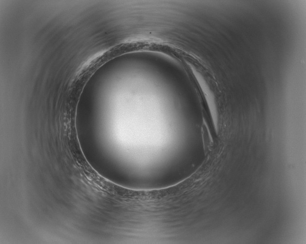 X0000077370872200610201346