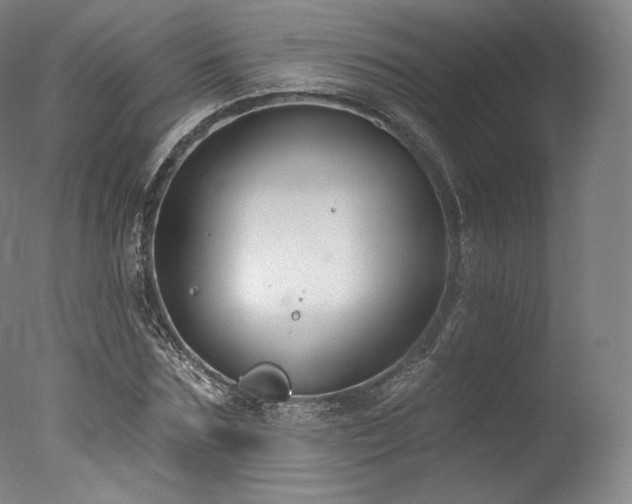 X0000077370875200610201346