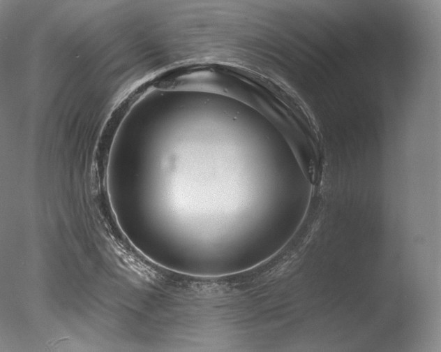 X0000077370876200610201346