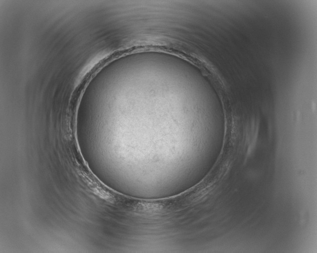 X0000077370878200610201346