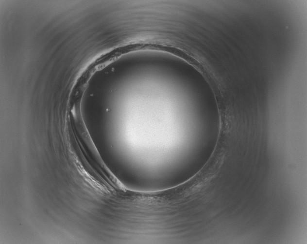 X0000077370880200610201346