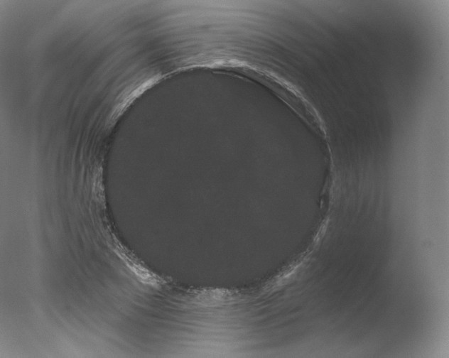 X0000077370881200610201346