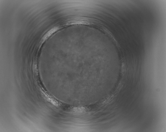 X0000077370882200610201346