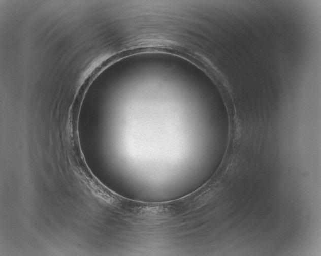 X0000077370883200610201346