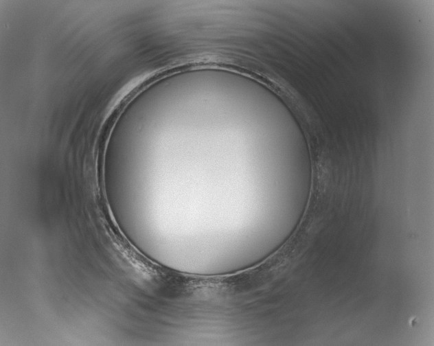 X0000077370886200610201346