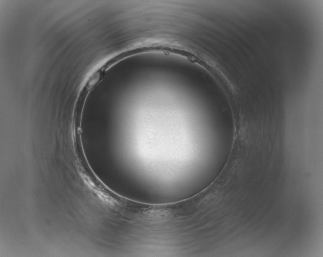 X0000077370888200610201346