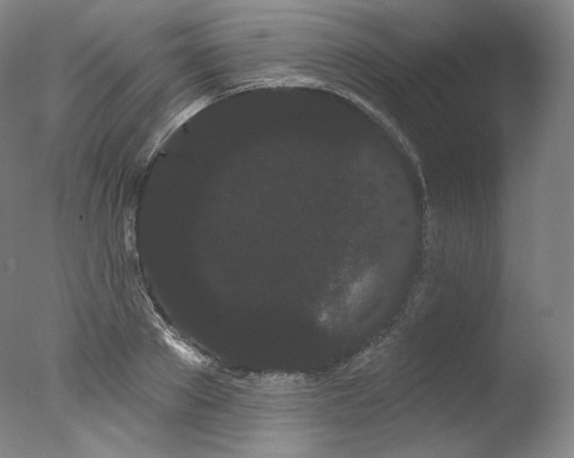 X0000077370889200610201346