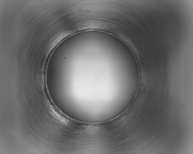 X0000077370890200610201346