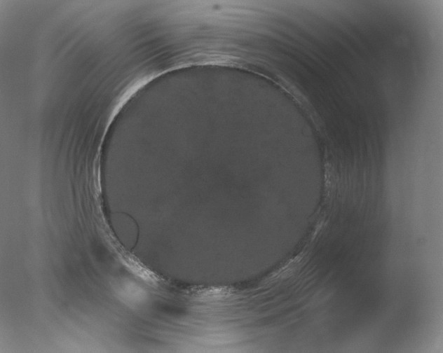 X0000077370891200610201346