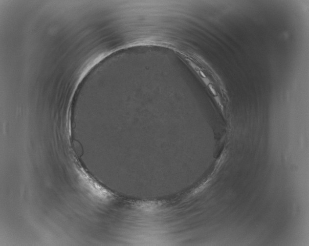 X0000077370892200610201346