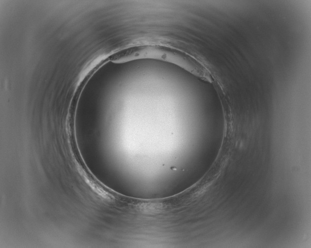 X0000077370893200610201346