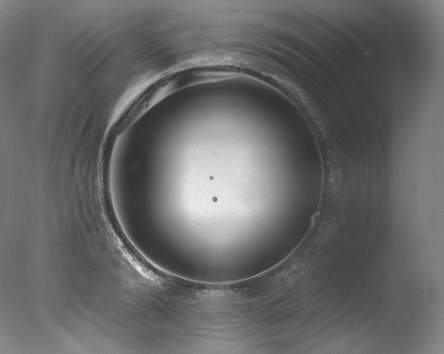 X0000077370894200610201345