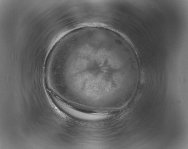 X0000077370895200610201345