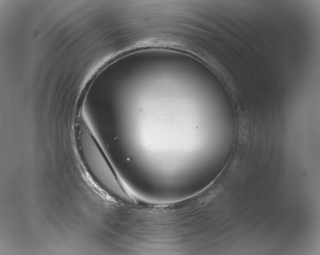 X0000077370896200610201345