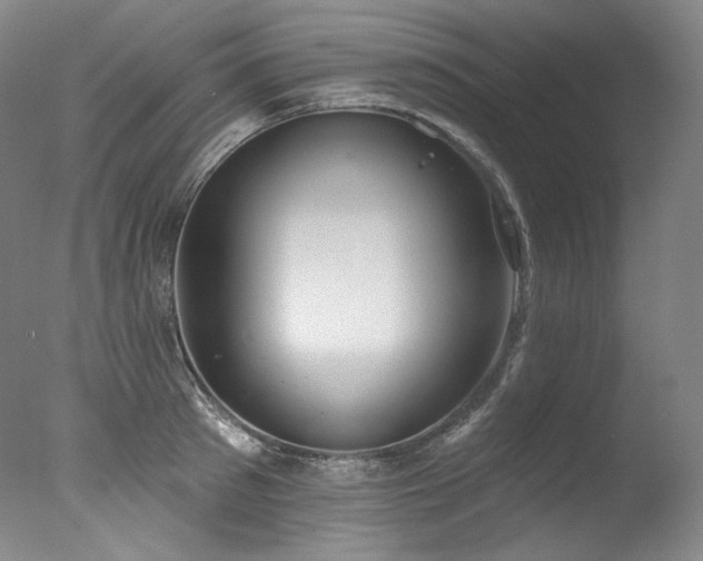 X0000077370897200610201345