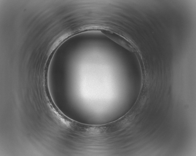 X0000077370898200610201345