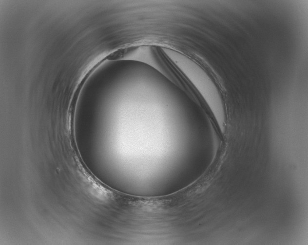 X0000077370900200610201345