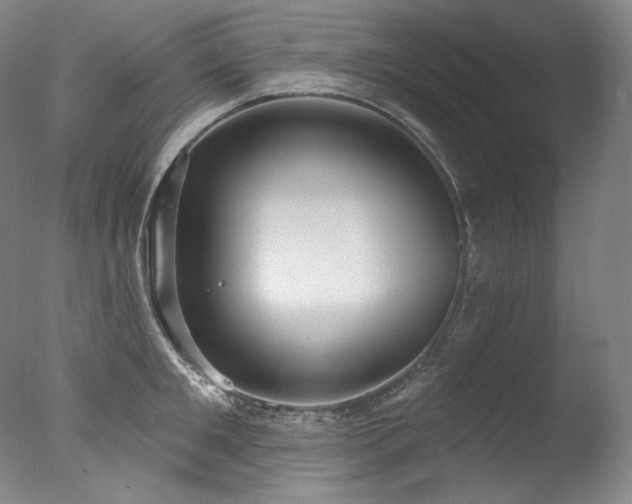 X0000077370901200610201345