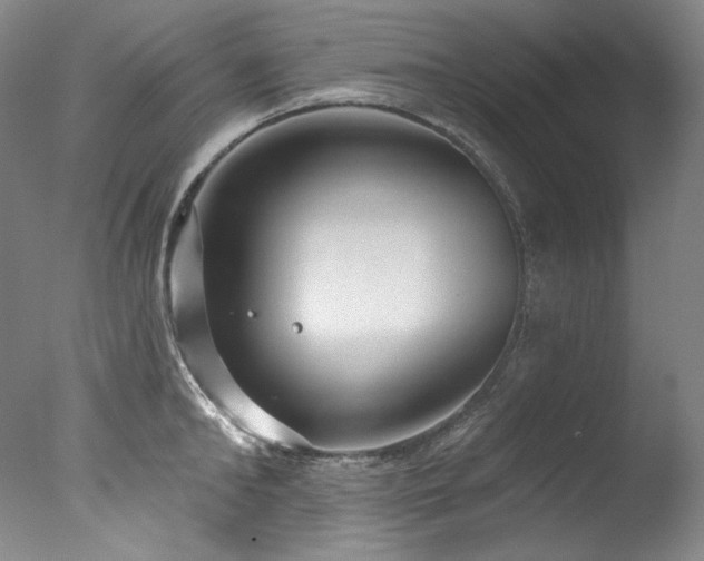 X0000077370902200610201345