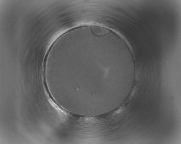 X0000077370903200610201345