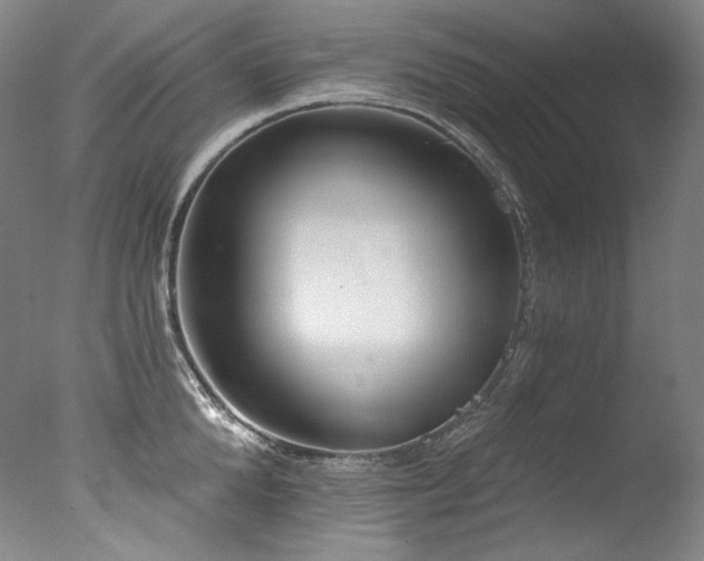 X0000077370904200610201345