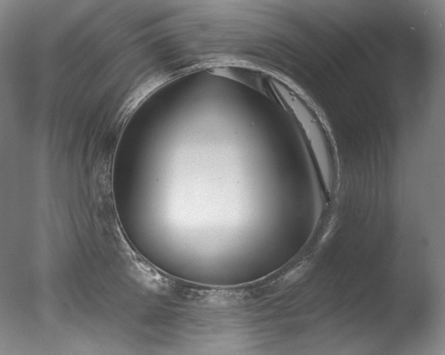 X0000077370905200610201345