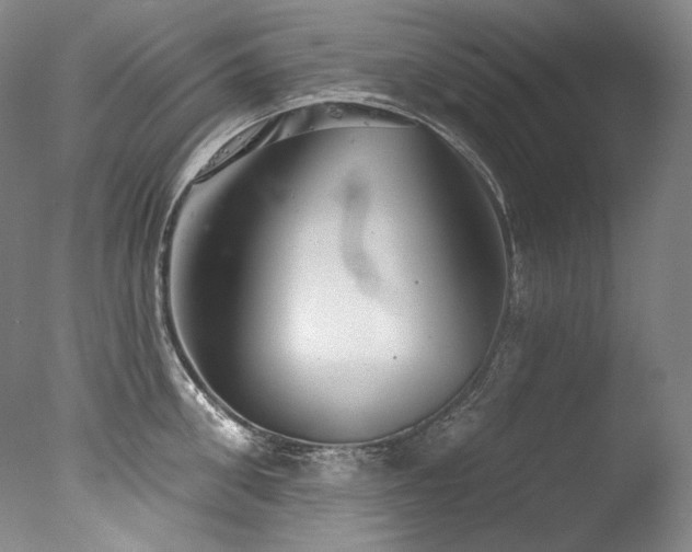 X0000077370906200610201345