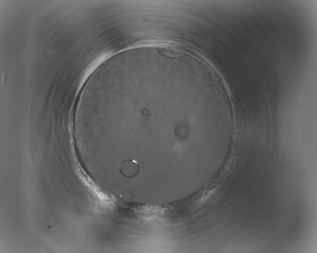 X0000077370907200610201345